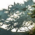 _P648644