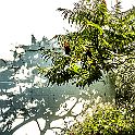 _P648646