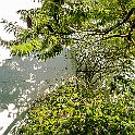 _P648648