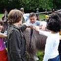 DSC04280