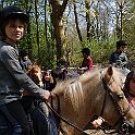 DSC04070