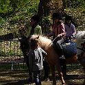 DSC04093