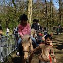 DSC04097