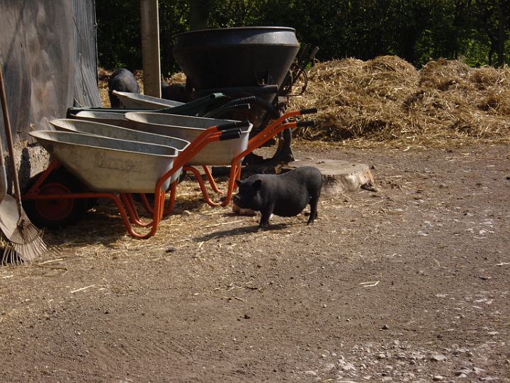 DSC04166