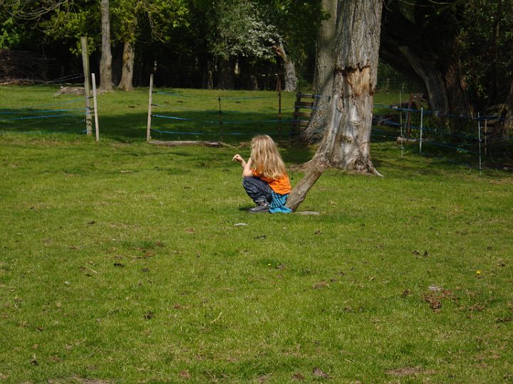 DSC04203
