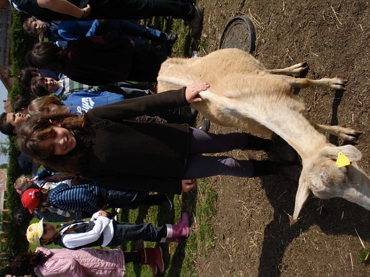 DSC04214