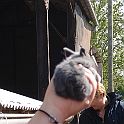 DSC04169