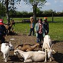 DSC04196