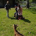 DSC04201