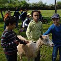 DSC04205