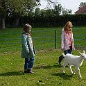 DSC04206