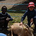 DSC04207