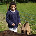 DSC04209