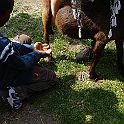 DSC04215