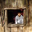 DSC03896