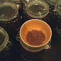 18128_493692800653748_1847087716_n
