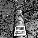 Film-Scan-0002