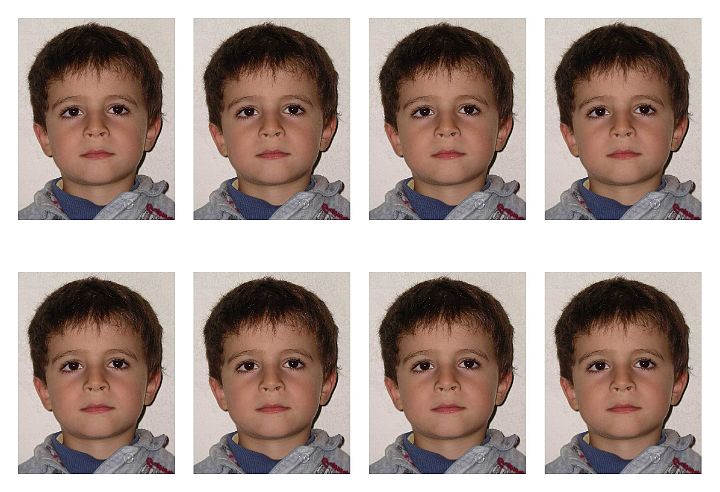 15 X 10 Milo