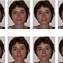 15 X 10 Agnes