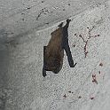 2011-06-Villa-0003