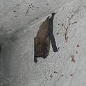 2011-06-Villa-0004