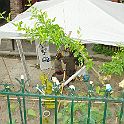 2011-06-Villa-0005