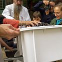 _P643218